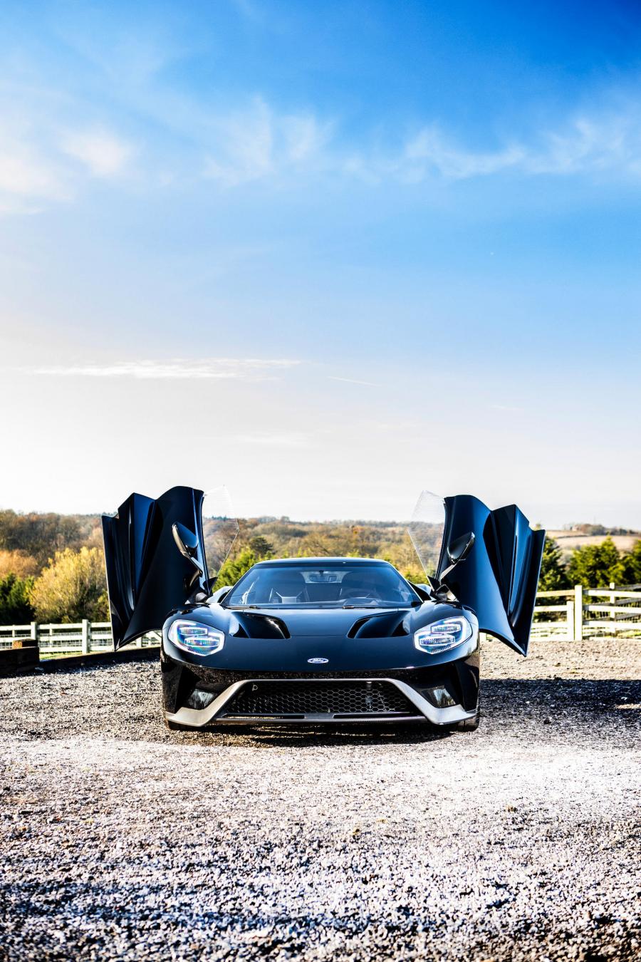  Ford GT (H121) 2018 года  (фото 83 из 85)